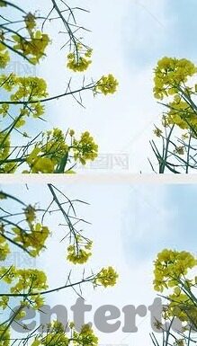 澳门鸿运赌场官方-澳门鸿运赌场官方，历史与现状的交织
