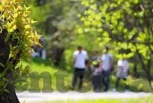 九游炸金花下载-手机炸金花游戏推荐，九游炸金花下载体验